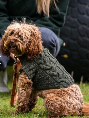 Aran Sweater Market Aran Cable & Diamond Dog Sweater